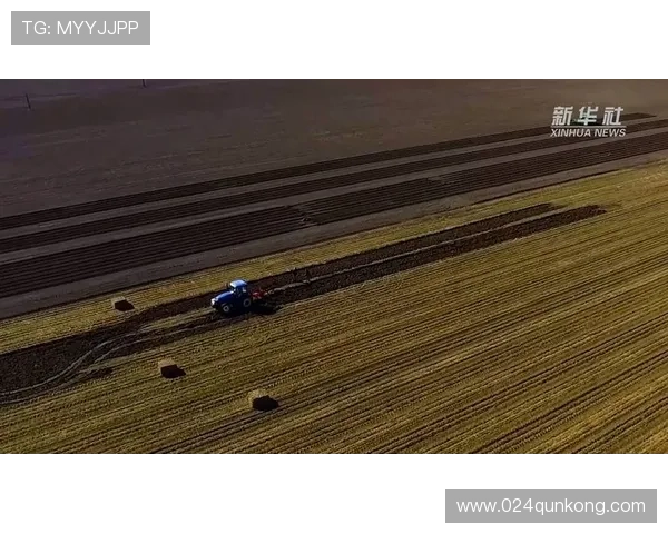 我的农民兄弟：那些朴实无华，却闪耀着生命光芒的土地守护者